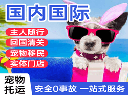鄂伦春航空运输国际宠物托运 【国